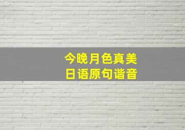 今晚月色真美 日语原句谐音